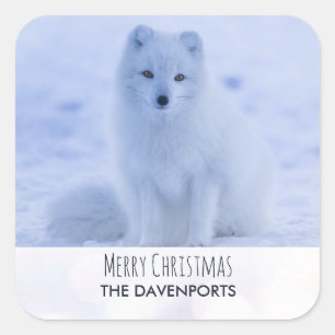 Cute Arctic Fox op Sneeuwkerst Vierkante Sticker