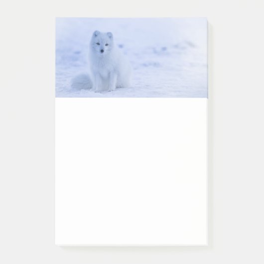 Cute Arctic Fox op Snowy Winter Background Post-it® Notes (Voorkant)