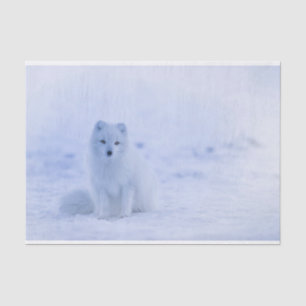 Cute Arctic Fox op Snowy Winter Background Tissuepapier