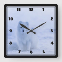 Cute Arctic Fox op Snowy Winter Background