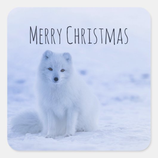 Cute Arctic Fox op Snowy Winter Background Vierkante Sticker (Voorkant)