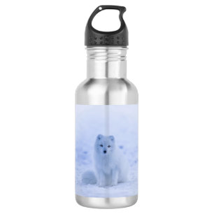 Cute Arctic Fox op Snowy Winter Background Waterfles