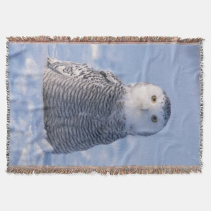 Cute Arctic Snowy Owl Photo Ontworpen Woven Deken
