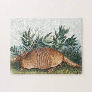 Cute Armadillo Illustration Legpuzzel