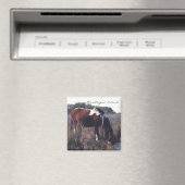 Cute Assateague Mare - Magnet (In Situ (Lave-vaisselle))