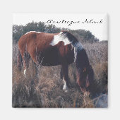 Cute Assateague Mare - Magnet (Devant)
