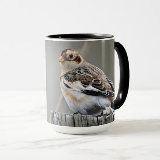 Cute Attractive Snow Bunting Georgia Photography Mok