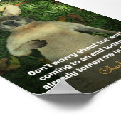 Cute Australia Kangaroo Poster (Hoek)