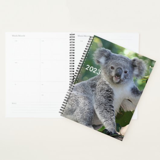 Cute Australian koala planner 2023 (Display)