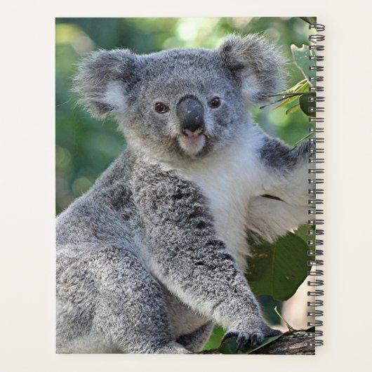 Cute Australian koala planner 2023 (Dos)
