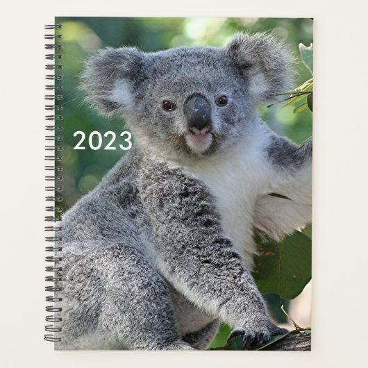 Cute Australian koala planner 2023 (Voorkant)