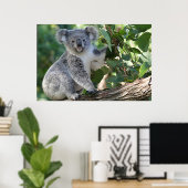 Cute Australian koala Poster (Thuiskantoor)