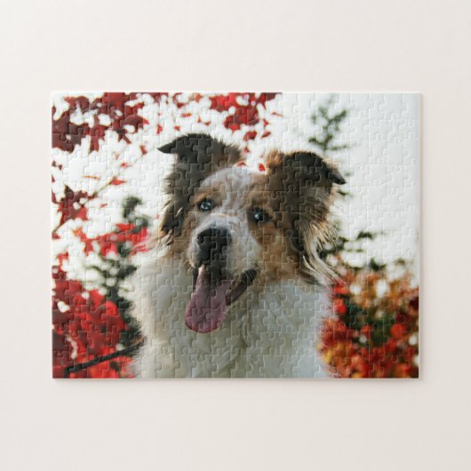 Cute Australian Shepherd Dog Portrait Legpuzzel (Horizontaal)