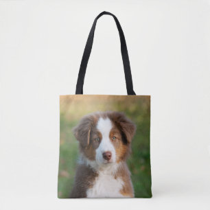 Cute Australian Shepherd Dog Puppy Photo - Shopper Draagtas