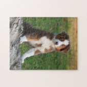 Cute Australian Shepherd puppy Legpuzzel (Horizontaal)