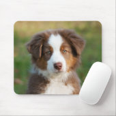 Cute Australian Shepherd puppy Muismat (Met muis)