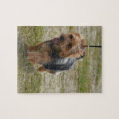 Cute Australian Terrier Legpuzzel (Horizontaal)