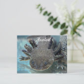 Cute axolotl briefkaart (Staand voorkant)