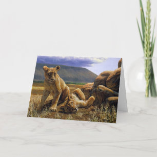 Cute Baby African Lion Cubs Kaart
