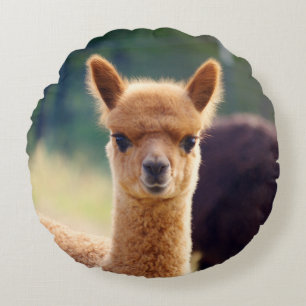 Cute Baby Alpaca Round Pillow Rond Kussen