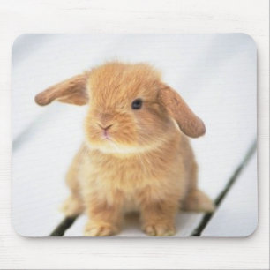 Cute Baby Bunny Happy Easter Design Muismat