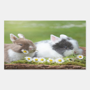 Cute Baby Bunny Rabbits with Flowers Rechthoekige Sticker