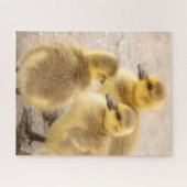 Cute Baby Canada Gese Soft Bird Natuur Legpuzzel (Horizontaal)
