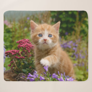 Cute Baby Cat Kitten die dierfoto's afspelen — Hoo Sherpa Deken