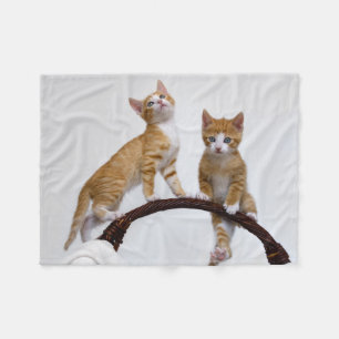 Cute Baby Cats Kittens Funny Gym Foto: Fleece Deken