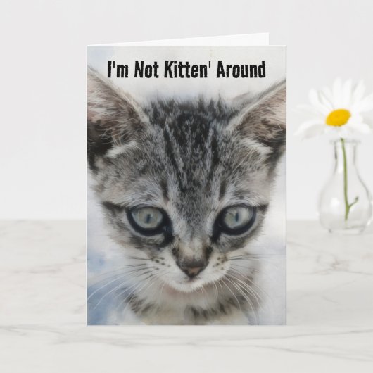 Cute Baby Chat Kitten Fun Pun Anniversaire Carte (Petite plante)