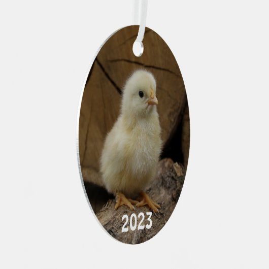 Cute Baby Chick Metalen Ornament (Voorkant Rechts)