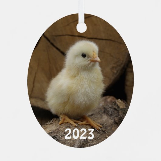 Cute Baby Chick Metalen Ornament (Achterkant)
