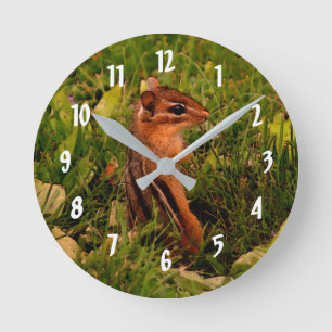 Cute Baby Chipmunk Animal Art Ronde Klok