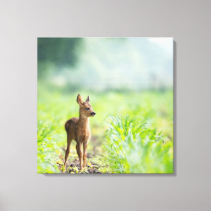 Cute Baby Deer Fawn in Grass Natuur Photography Canvas Afdruk