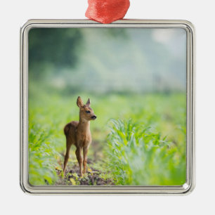 Cute Baby Deer Fawn in Grass Natuur Photography Metalen Ornament