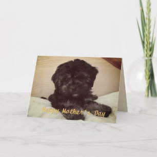 Cute Baby Dog Happy Moederdag Kaart