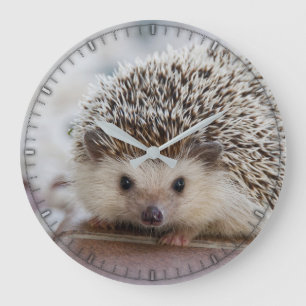 Cute baby egel wall klok