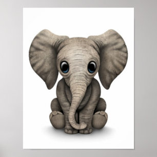 Cute Baby Elephant Calf Sitting Down, White Poster