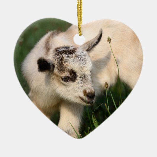 Cute Baby Goat Keramisch Ornament (Voorkant)