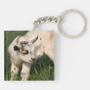 Cute Baby Goat Sleutelhanger