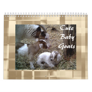 Cute Baby Goats Calendar Kalender