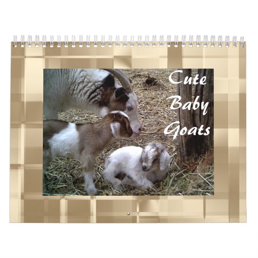 Cute Baby Goats Calendar Kalender (Hoes)