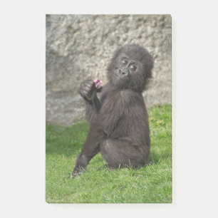Cute Baby Gorilla Post-it® Notes