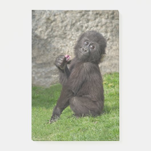Cute Baby Gorilla Post-it® Notes (Voorkant)