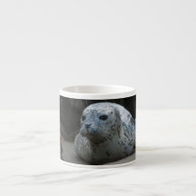 Cute Baby Harbour Seal die op strand kijkt