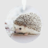 Cute Baby Hedegel Animal Ornament (achterkant)
