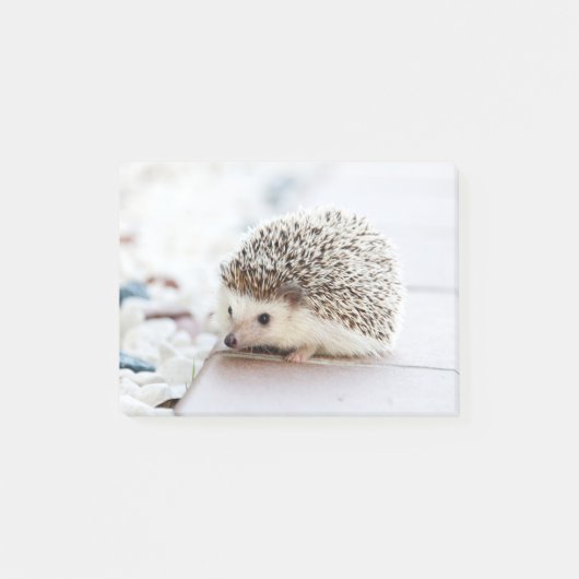 Cute Baby Hedegel Animal Post-it® Notes (Voorkant)