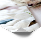 Cute Baby Hedegel Animal Poster (Hoek)