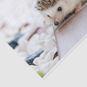 Cute Baby Hedegel Animal Tissuepapier (Detail)