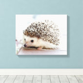 Cute Baby Hedegel Canvas Afdruk (Insitu (Houten vloer))